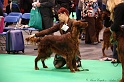 Crufts2011 452